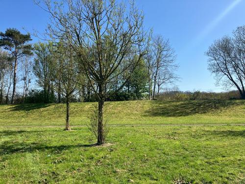 Ballymena Ballykeel site: South view