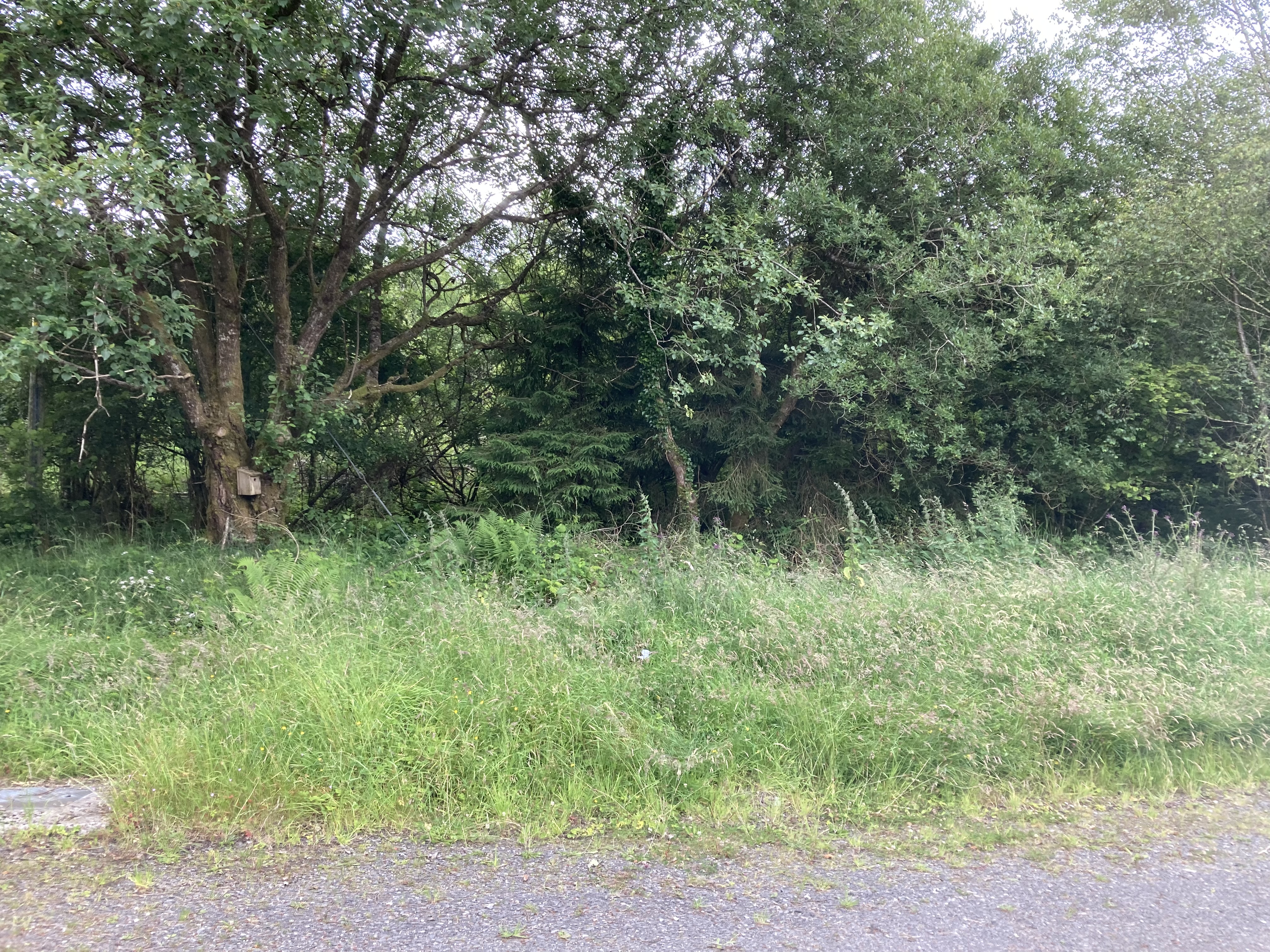 Lough Navar site: North view