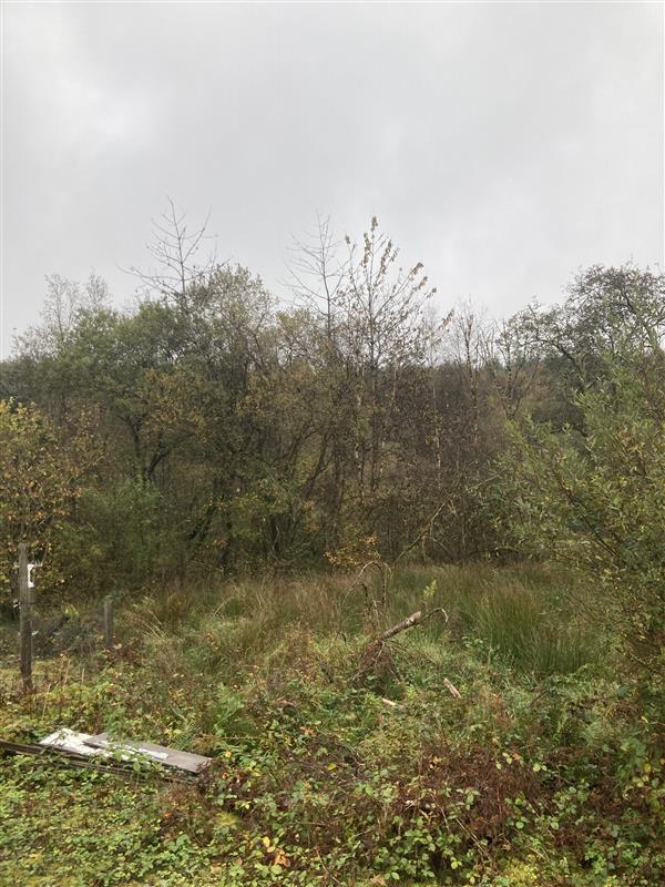 Lough Navar site: South view